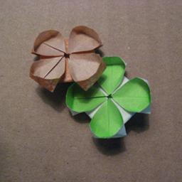 origami clover of curves