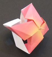 origami twist top