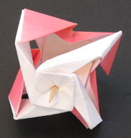 origami twist top