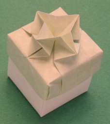 origami twist box